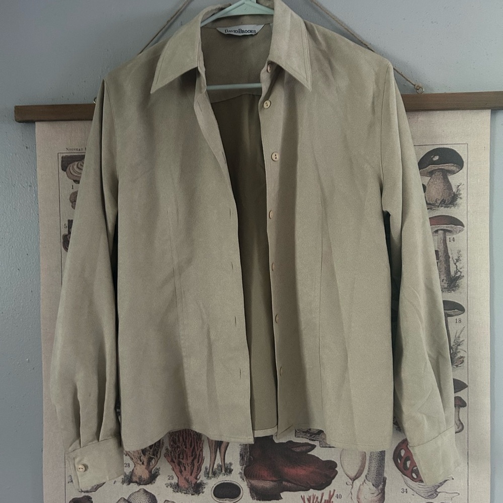 David Brooks button down shirt